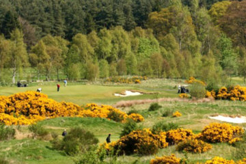 The Duke's Course lies both figuratively and literally in the shadow of St. Andrews. 