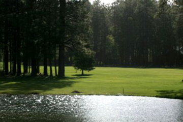 Pinetop Country Club features plenty of water and trees.