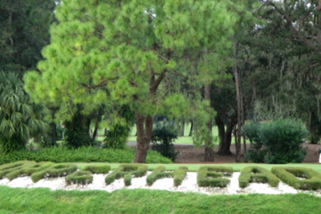 A view of the Copperhead Course at Innisbrook Resort and Golf Club.