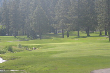 The first hole at Edgewood Tahoe Golf Course has you avoiding a lake and getting your first look at those towering trees.