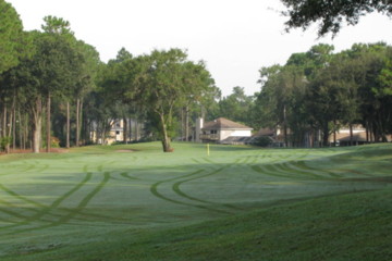 The second hole at Windsor Parke Golf Club points the tee boxes toward a solitary tree that will shield approach shots.