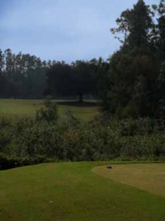The Oaks golf course in Mississippi - hole 8