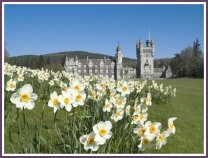 For the queen Balmoral Castle is home away from home; for you it's a great place to visit between rounds at Aberdeenshire courses.
