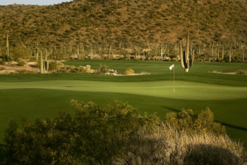 Ritz-Carlton G.C., Dove Mountain - Saguaro - hole 9