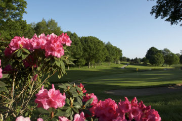 Gorgeous azaleas and rhododendrons aren't the only reminders of Augusta at Stoke Park.