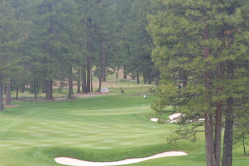 Old Greenwood Golf Course - Lake Tahoe/Reno area - Jack Nicklaus design - Truckee