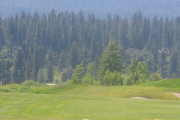 Whitehawk Ranch Golf Club gives you some wide-open holes that stretch to the trees.
