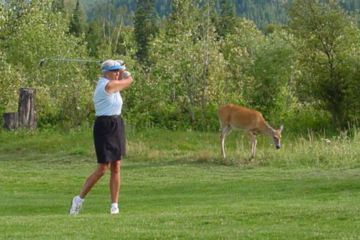 At Golden Golf Club, not far from the Alberta-B.C. border, the wildlife is part of the experience.