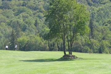 Craig Wood's No. 8 has a lone tree in the middle of the fairway