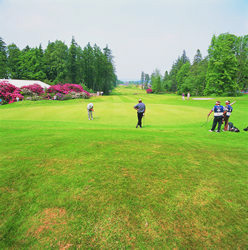 Alnwick Golf Club: Lovely to look at but watch out for the hills off the tee.