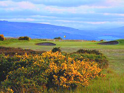 Playing Royal Dornoch's Carnegie Shield open will get you at least three rounds at a prestigious links course for less thatn the regular green fee.