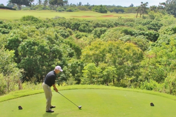 Developing a fundamentally sound practice swing is an essential part of making great golf shots.