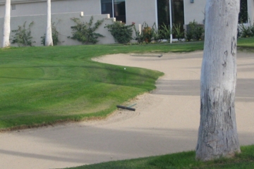 It's sometimes hard to tell where the bunker ends and the backyard begins at Desert Princess.