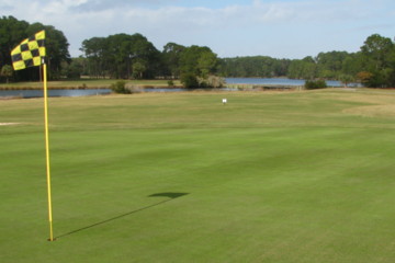 Jekyll Island Golf Club's Oleander course is rife with wildlife.