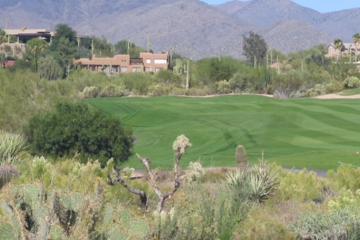 Boulders' green, green fairways are a showy contrast to all the prickly, stark desert.