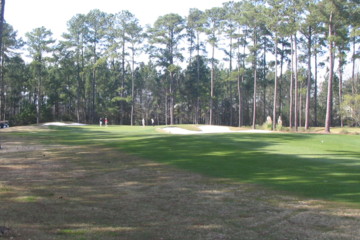 Eagle's Point was designed by Davis Love III, a son of the low country.