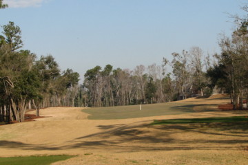 The loss of trees at the Oaks gives the impression of wider fairways.
