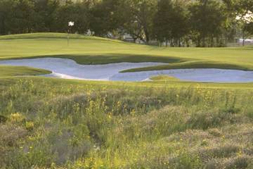 Native grasses and wildflowers border the green at No. 3 at Teravista.