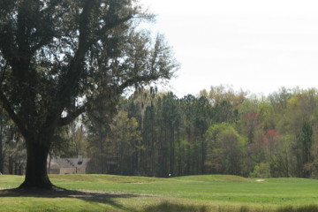 Legend Oaks has beautiful namesakes throughout its layout.