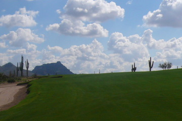 Saguaro's sixth has you staring up at blue mountain sky, no green in sight.