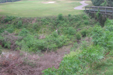 Memorial Park's No. 7 requires a carry over a sizable brush drop and throws in a wood bridge for character.