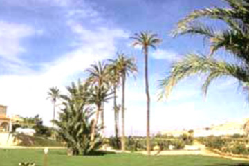 With few holes over 320 yards, the La Marquesa golf course is well-suited for high-handicappers.