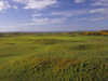 Royal Dornoch Golf Club - Championship Course