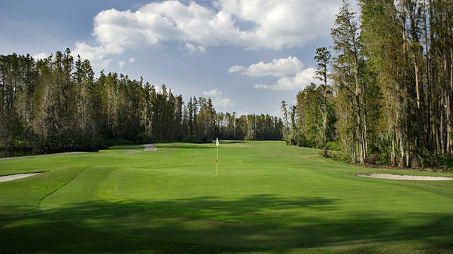 Saddlebrook at Saddlebrook Golf & Tennis Resort - Resort