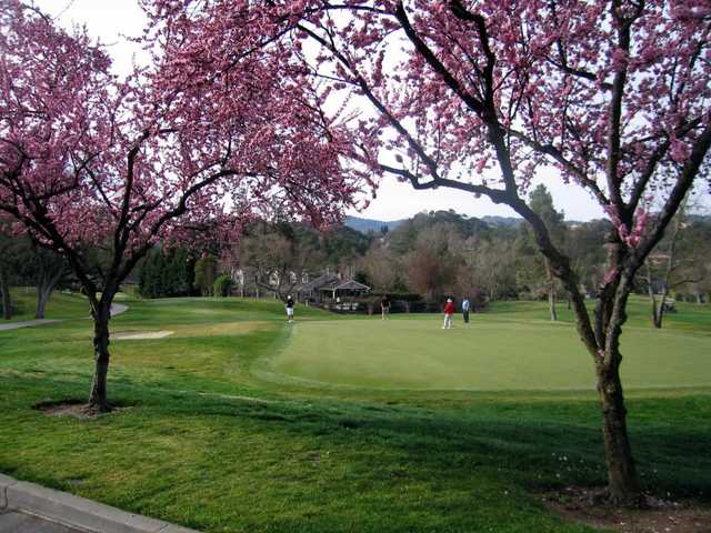 Roundhill Country Club Alamo Ca