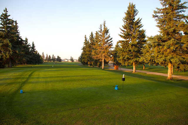 spruce grove singles Dating in spruce grove is easy when you subscribe to match browse personals and find other singles that share your interests we have been helping people. spruce grove singles Dating in spruce grove is easy when you subscribe to match browse personals and find other singles that share your interests we have been helping people.