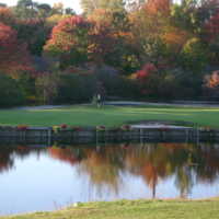 wallingford tradition teetimes tee island times courses golf club